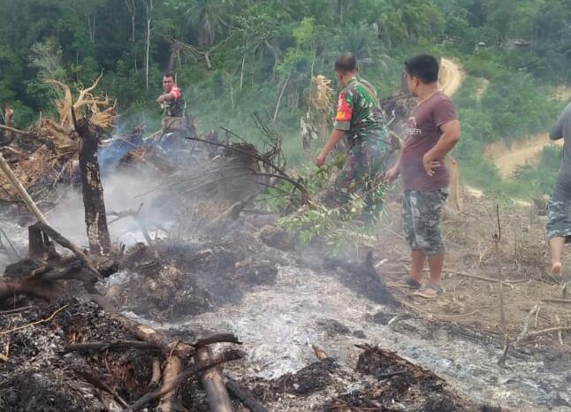 Kebakaran Hutan, Babinsa Koramil 06/ Dolok Bergerak Cepat Temukan dan Padamkan Titik Panas