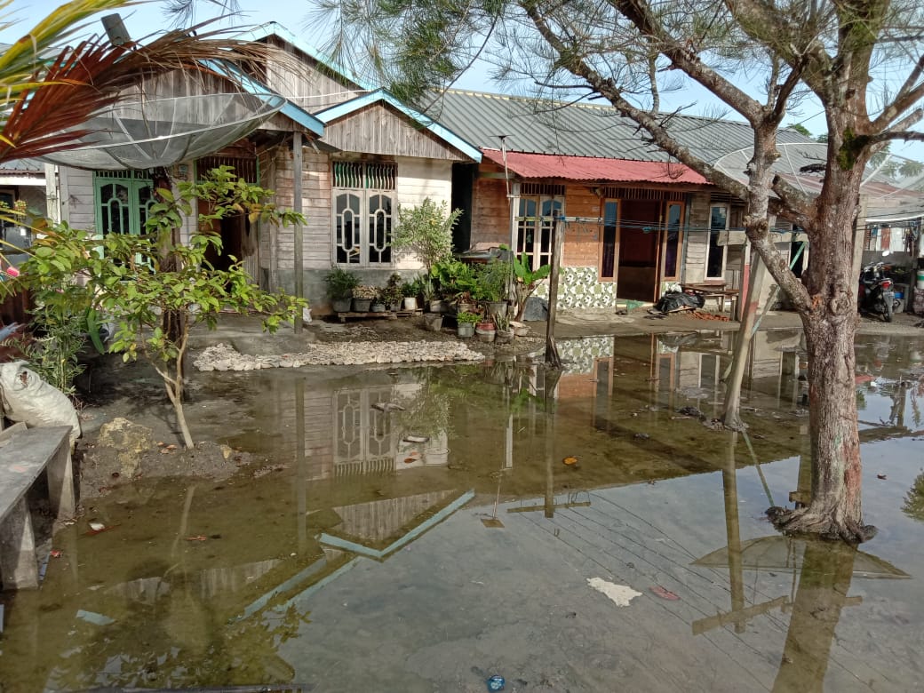 LPLHI Perihatin Abrasi Pantai, Perumahan Warga di Desa Suka Maju Kerab Tergenang Pasang Laut