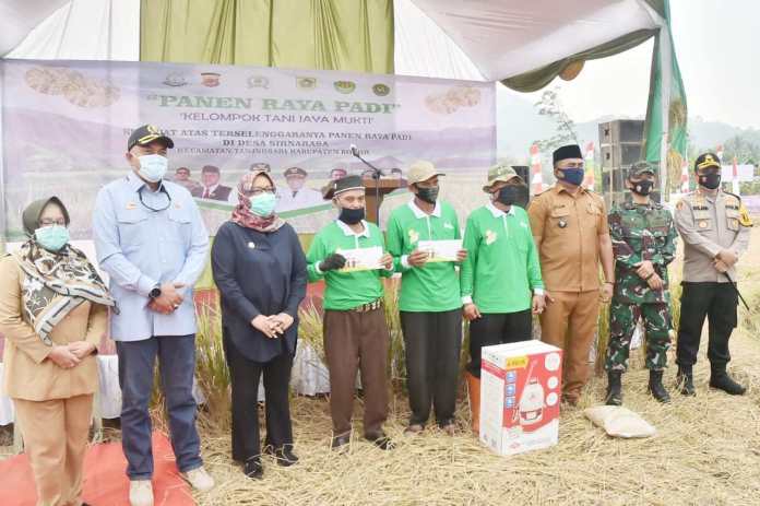 Panen Raya di Tanjungsari Dihadiri Bupati Bogor Ade Yasin