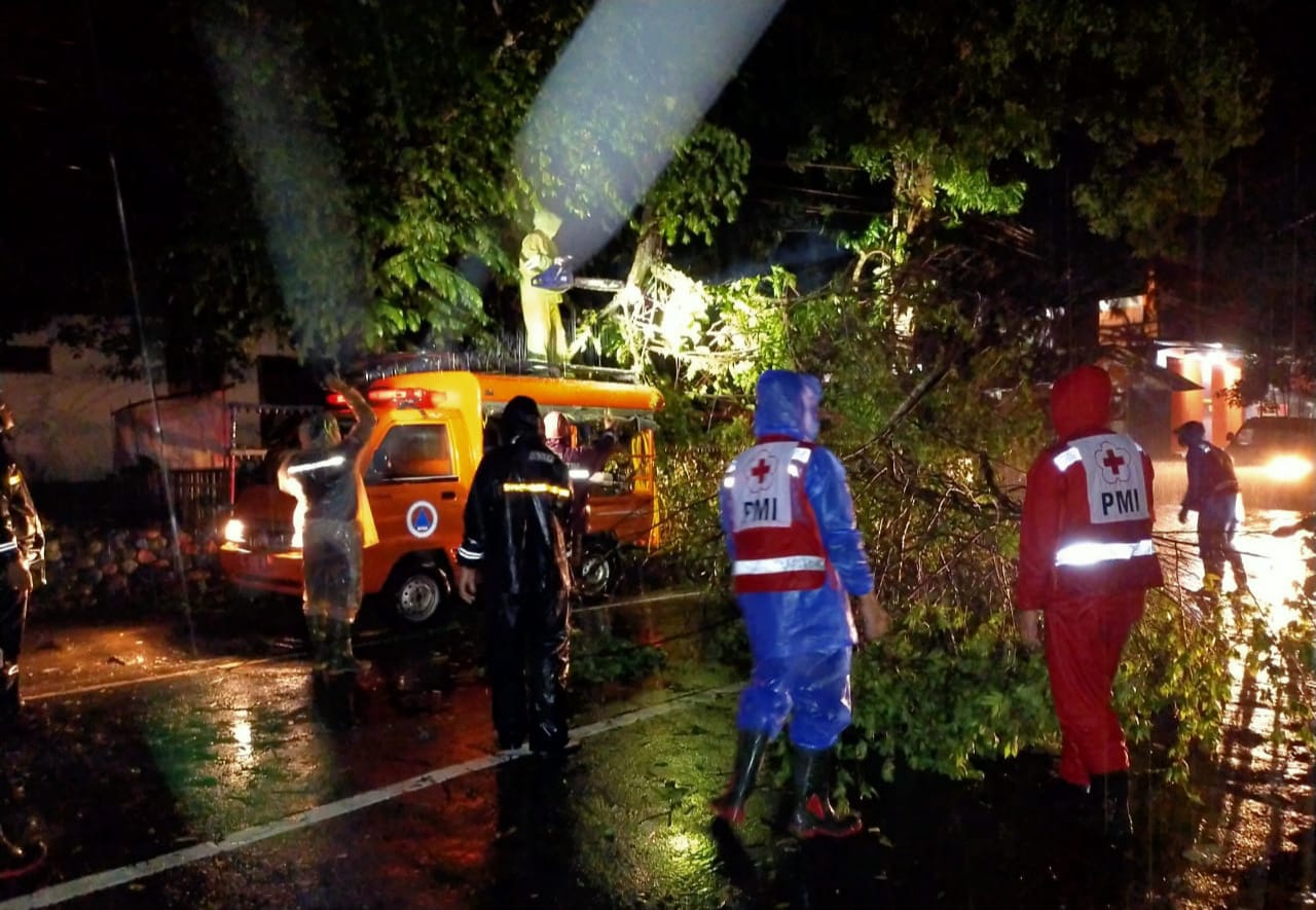 Hujan Berjam jam Akibatkan Tanah Longsor dan Pohon Tumbang