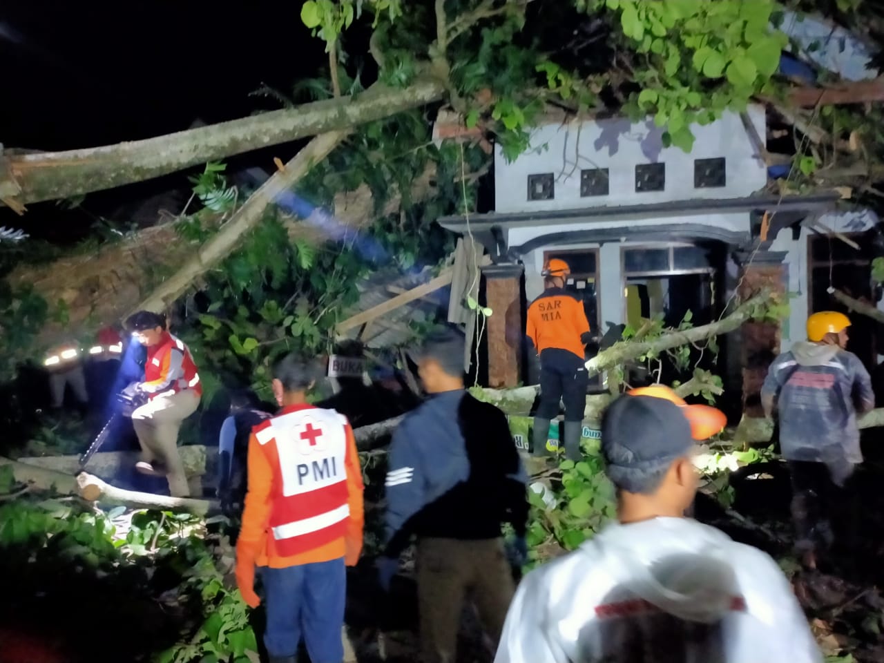 Rumah dan Toko Warga Hancur Tertimpa Pohon Tumbang