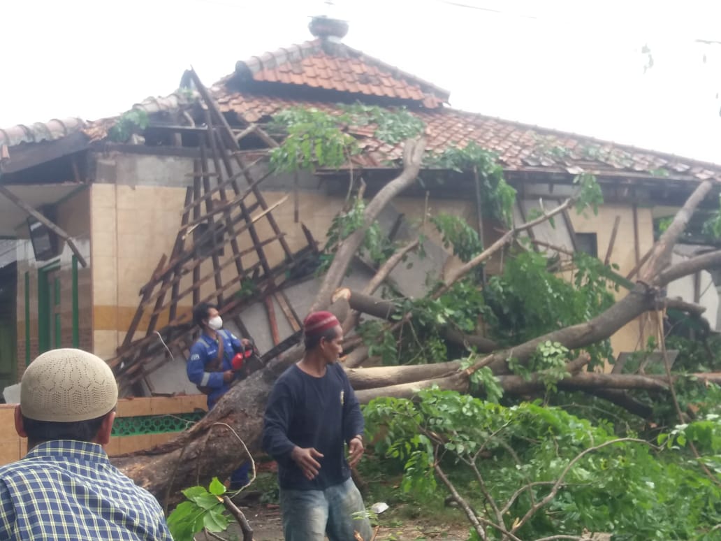 Akibat Hujan Deras Disertai Angin Kencang, Sebuah Pohon Tumbang Hantam Mushola