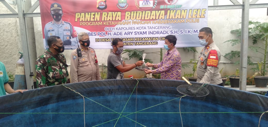 Kapolres Tangerang Pimpin Panen Raya Budidaya Ikan Lele di Desa Telagasari Kecamatan Cikupa Kabupaten Tangeran