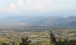 Pohon kebutuhan penting bagi manusia