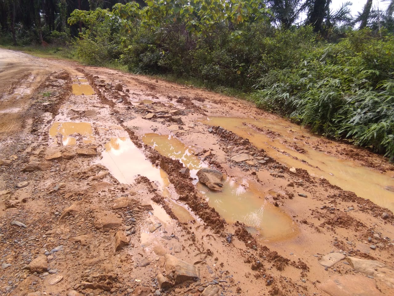 Parah, 75 Tahun Indonesia Merdeka, Empat Dusun di Desa Mandala Sena Tanpa Perhatian Pemerintah