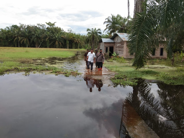 Forkopimca Panai Hulu Tinjau Lokasi Banjir Desa Sei Jawi-jawi