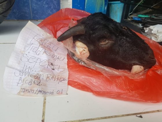 Kritis Terhadap Walikota Risma, Kediaman Novly Diteror Kepala Kambing