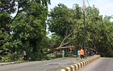 Pohon Tumbang Mengunci Ring Road Madiun