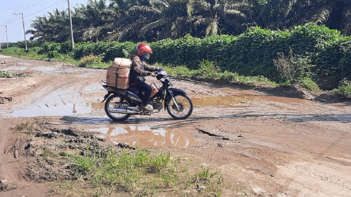 Masyarakat Minta Pemerintah Provinsi Segera Lakukan Perbaikan Jalan Yang Seperti Kubangan Kerbau