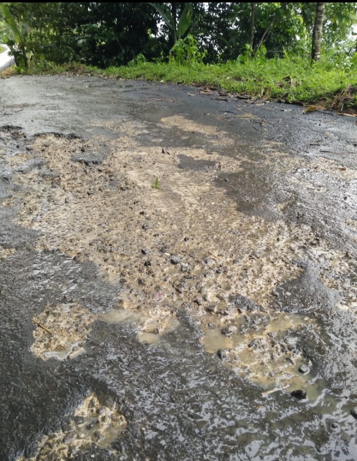 Belum ada 2 Bulan Pengaspalan, Jalan Desa Pogor Cilanglubang Pabangbon Tampak Terlihat Rusak