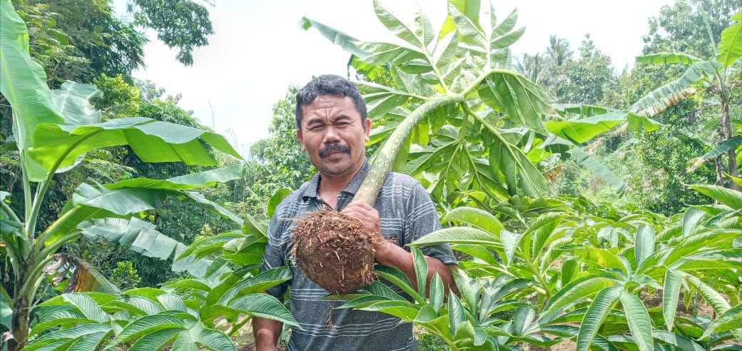 Raja Porang, Lulusan SD Membina Ribuan Petani