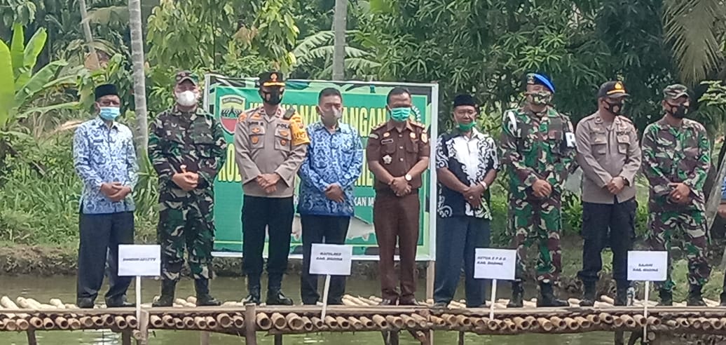 Perkuat Ketahanan Pangan, Dandim 0212/Tapsel Tabur Benih Ikan Mas di Kolam Binaan