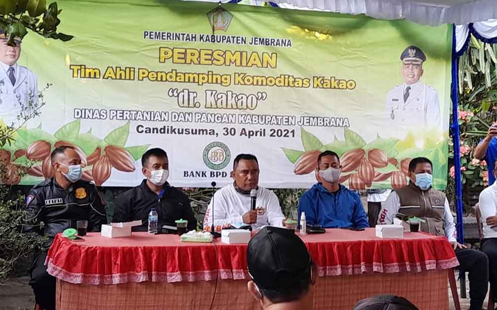 Peduli Petani Kakao, Bupati Tamba Launching ‘Dokter Kakao’