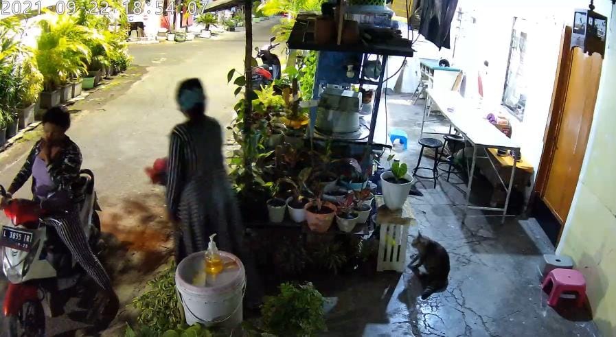 Ya Ampun !!! Emak-emak ini Terekam CCTV Mencuri Tanaman Hias