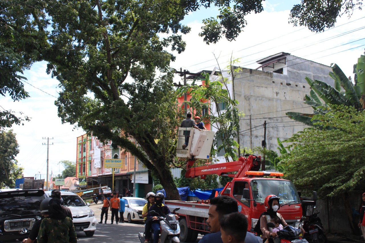 Khawatir membahayakan, BPBD Labuhanbatu Pangkas Ranting Pohon