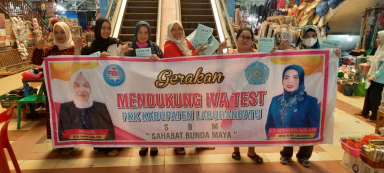 Sahabat Bunda Maya Sosialisasikan Ivates Bersama Dewan Kesenian Labuhanbatu