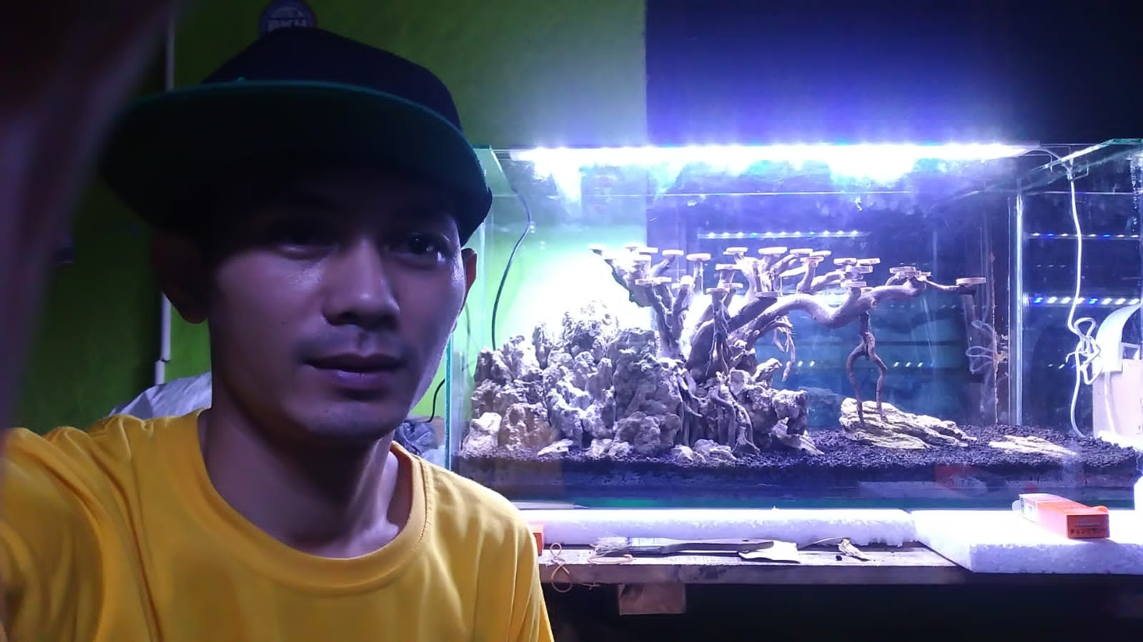 Pratama Aquatic Manjakan Konsumen dengan Hadirkan Aquascape di Rumah Anda