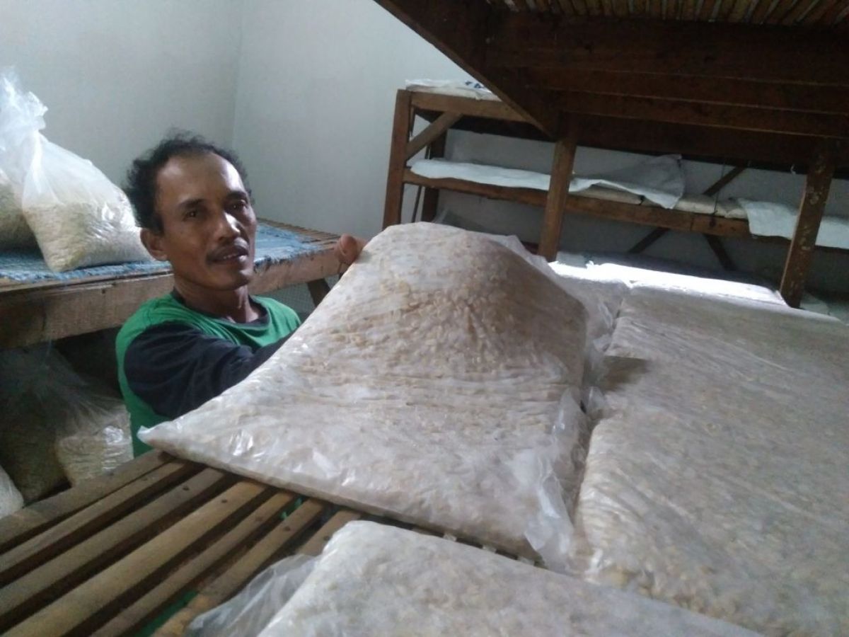 Harga Kedelai Naik, Pengrajin Tempe Tiga Hari Mogok Produksi