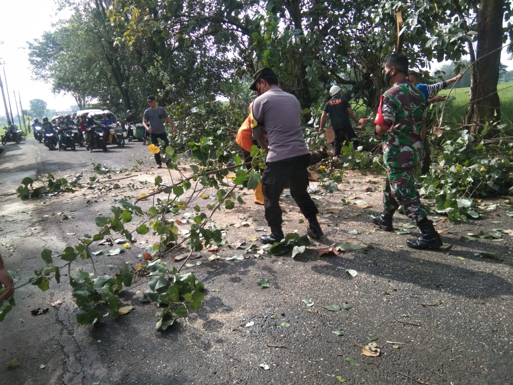 Anggota Polsek Kebak Kramat, Relawan dan TNI Serta Warga Evakuasi Pohon Tumbang di Wilayah Polsek Kebakkramat