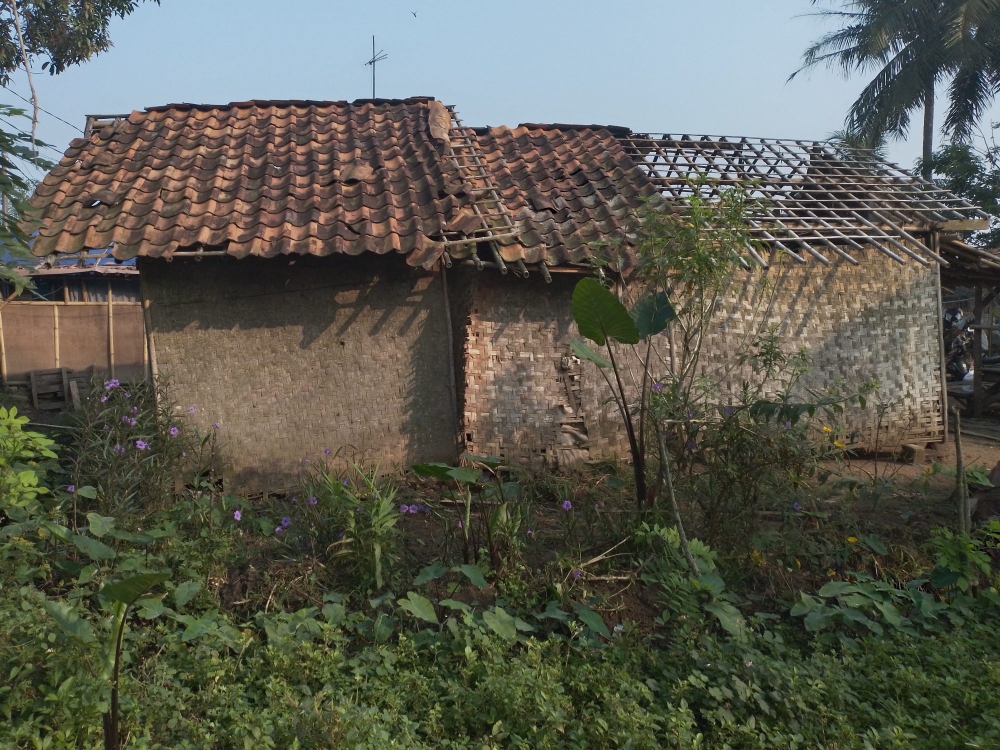 Banyak Rumah Kumuh di Desa Pasirmuncang Jayanti Tangerang Masih Mengharapkan Realisasi dari Program Pemerintah