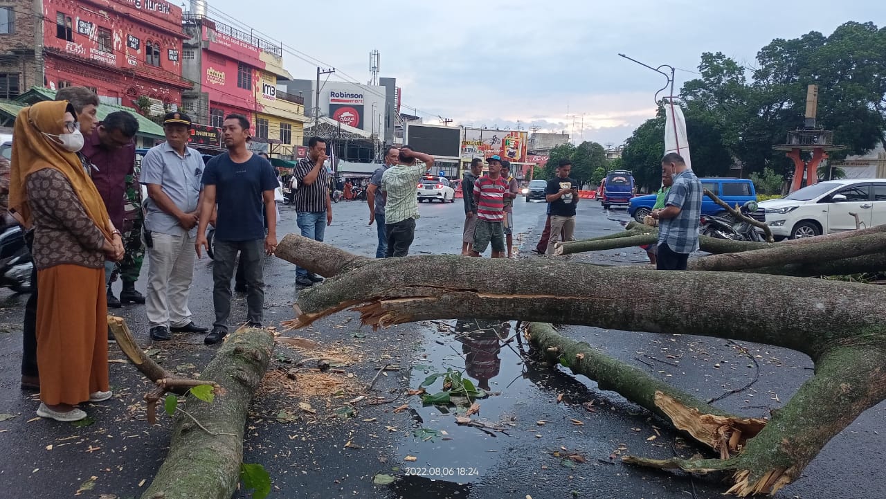 Plt Wali Kota Pematang Sian?ar Tinjau Langsung Lokasi Pohon Tumbang