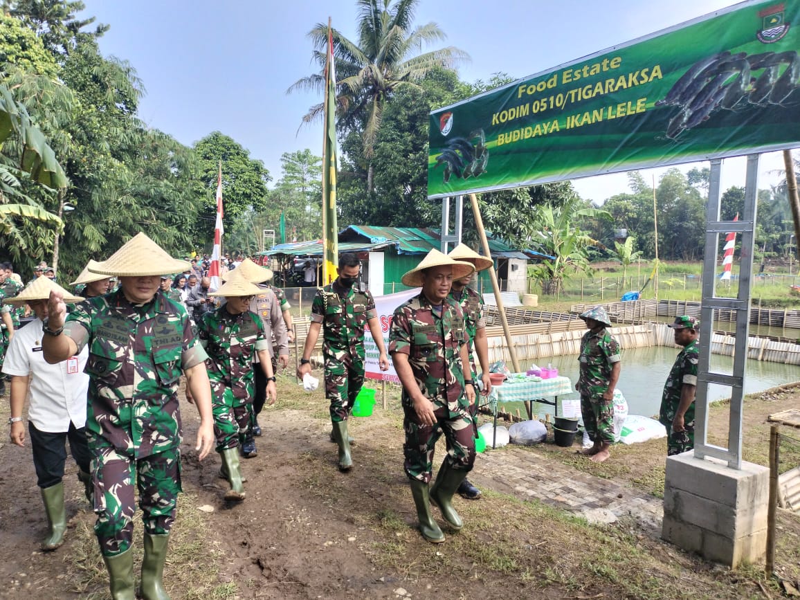 Danrem 052/Wkr Dampingi Pangdam Jaya Tinjau Perkembangan Program Food Estate di Tangerang