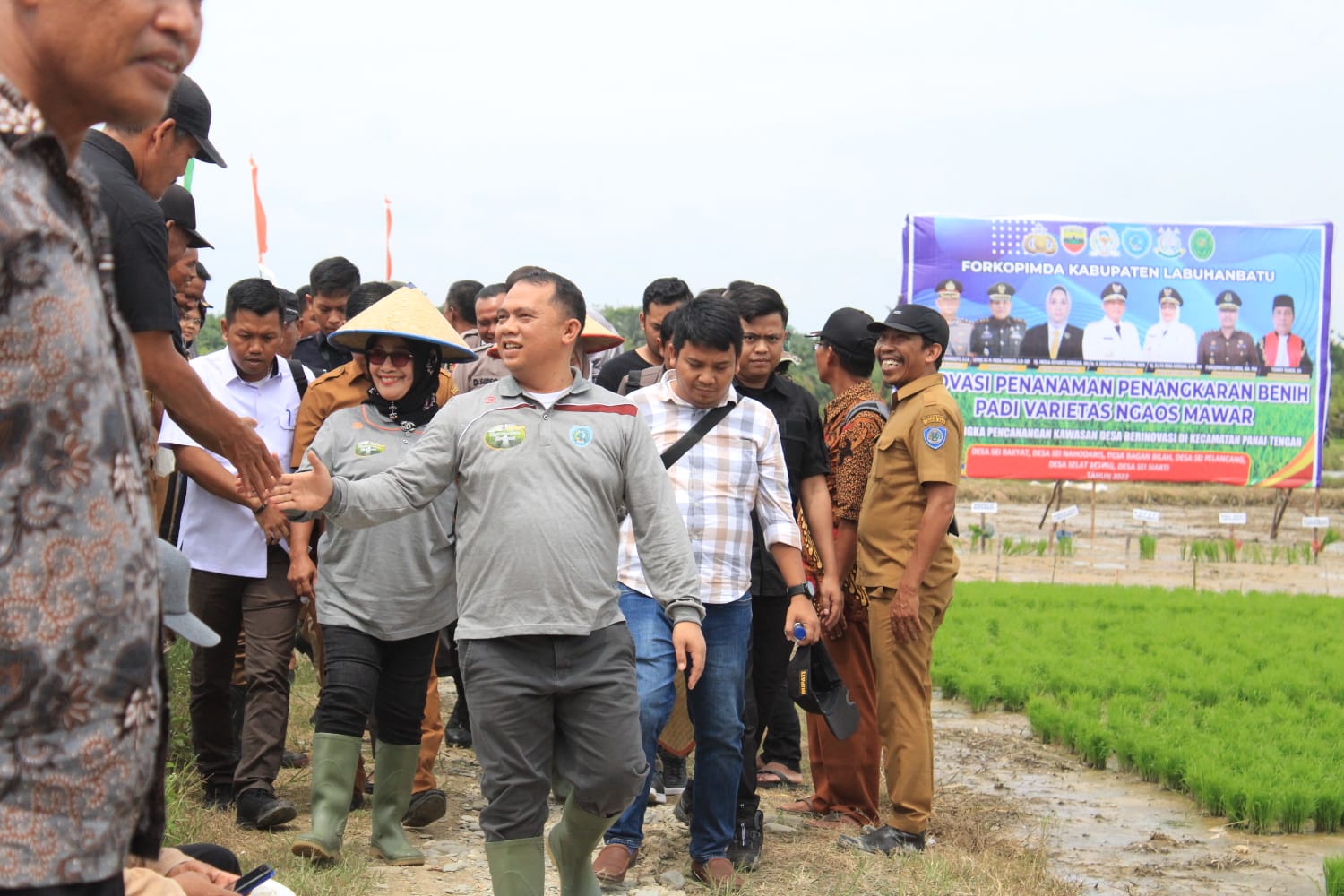 Pemkab Labuhanbatu Rencanakan Pembangunan Desa Inovatif Swasembada Pangan