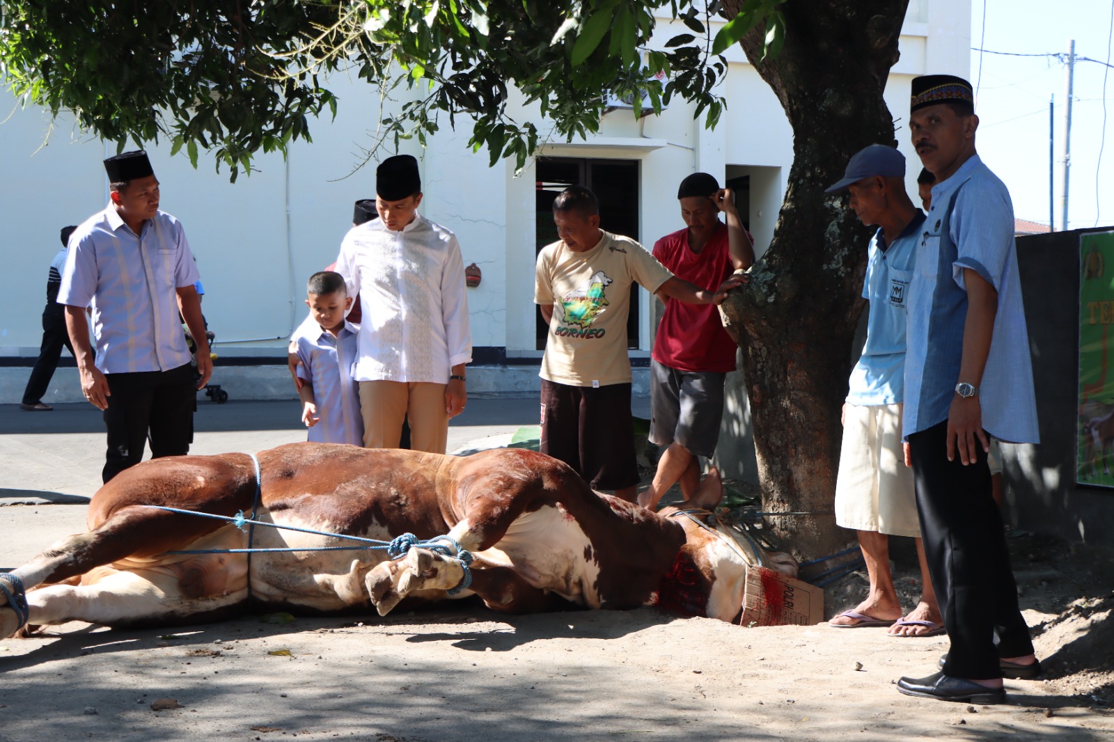 Polres Karanganyar Gelar Pemotongan Hewan Qurban, Menyembelih 7 Ekor Sapi dan 12 Ekor Kambing