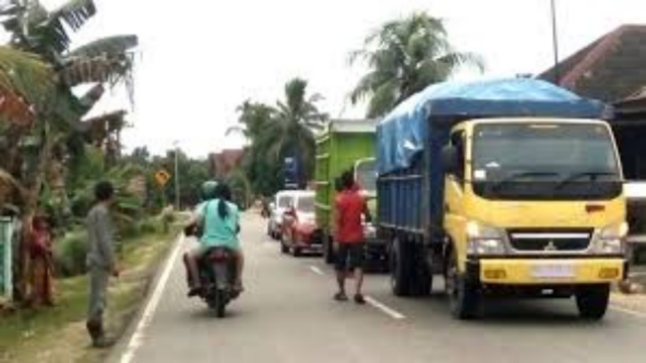 Koalisi Masyarakat Sipil Jambi Tolak Pembangunan Jalan Anguktan Batubara Melewati Hutan Dataran Rendah