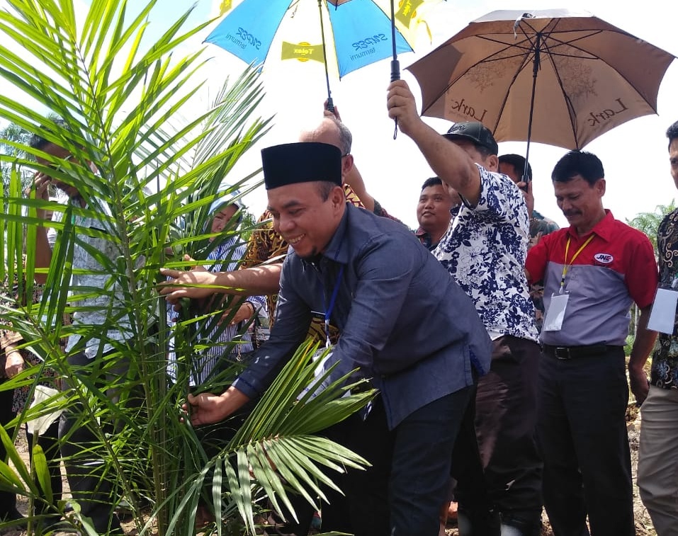 Lounching Perdana PSR PT.Siringo- Ringo di hadiri Plt Bupati