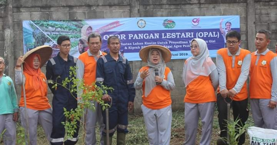 Manfaatkan Lahan Pekarangan, Drh. Sri Mukartini Canangkan OPAL di Lingkungan BBPMSOH