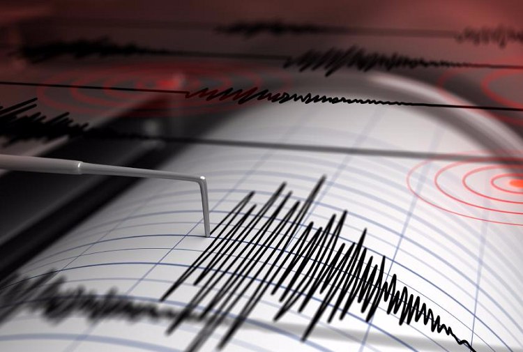 Gempa Bumi Tektonik M 6,0 Mengguncang Kabupaten Memberamo Raya