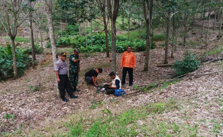 Harimau Mangsa Ternak, Danramil 01/Batangtoru Bersama BBKSDA Wilayah III Padangsidimpuan Lakukan Pemasangan Ka