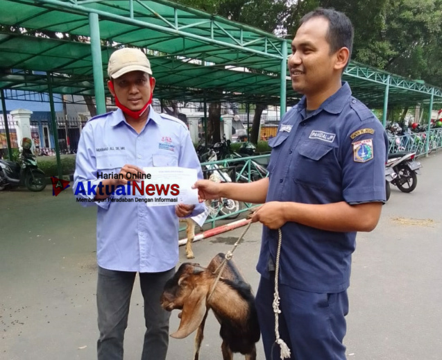 Panitia Qurban Musholla Baitul Mu’minin  Gelar Pemotongan Hewan Qurban