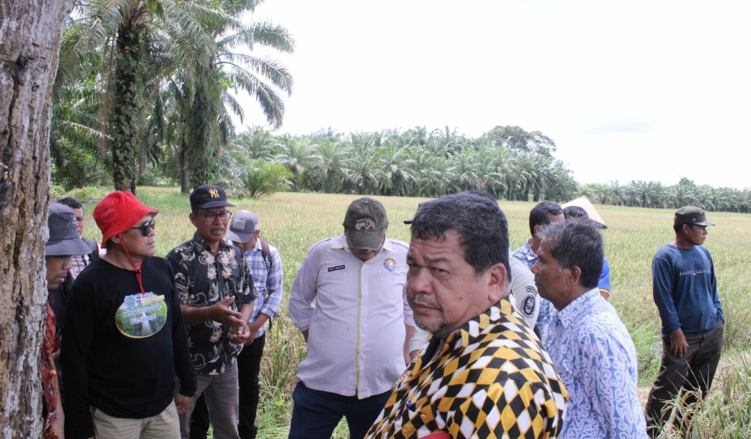 Pemkab Labuhanbatu Masuk Nominasi Penilaian PPD Kabupaten/Kota Tahun 2023