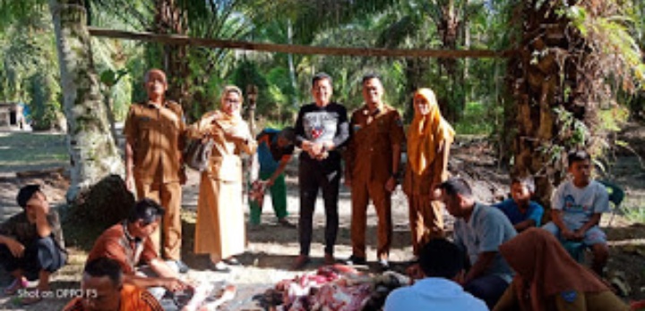 Kecamatan Panai Hulu Terima 3 Ekor Sapi Kurban Dari Pemkab Labuhanbatu