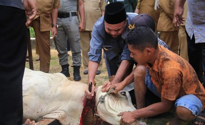 Pemkab Labuhanbatu Sembelih 38 Ekor Hewan Qurban