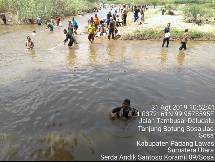 Wakili Danramil, Babinsa Koramil 09/Sosa Hadiri Tradisi Pembukaan Lubuk Larangan