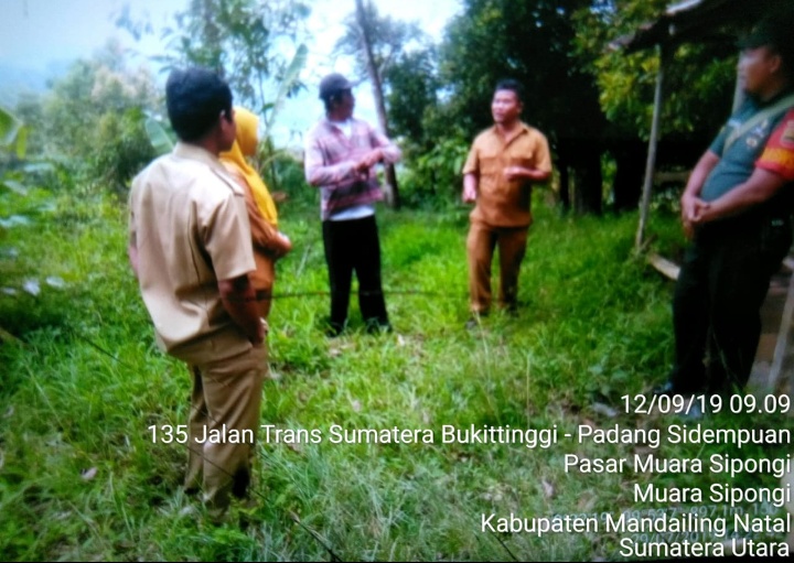 Bersama PPL, Babinsa Koramil 15/Muara Sipongi Kawal dan Dampingi Petani