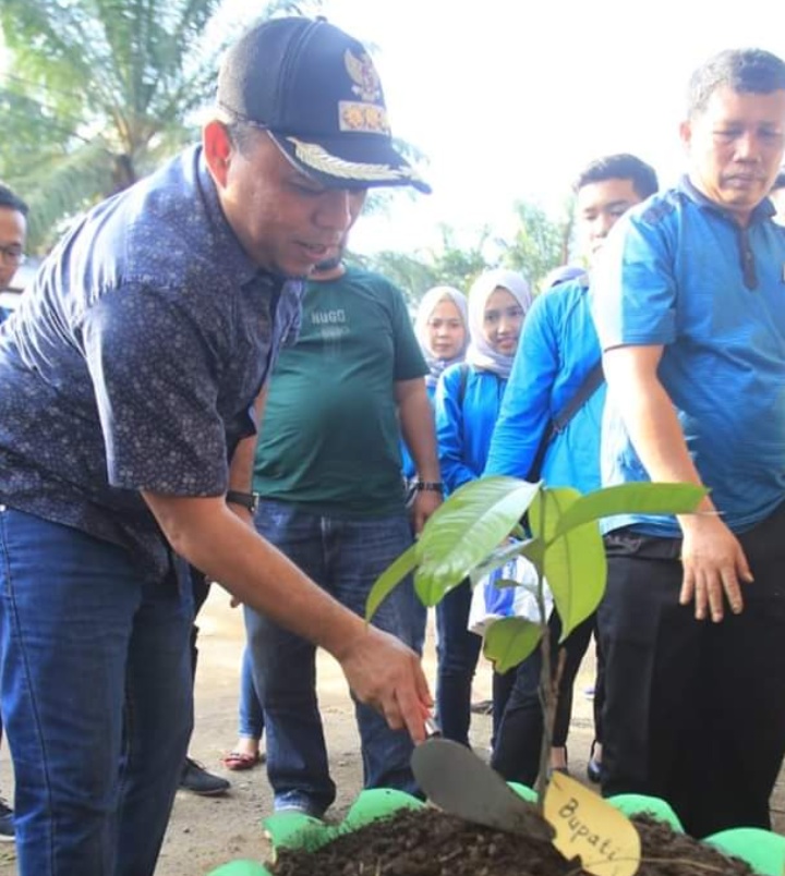 Bersama Rektor ULB, Bupati Labuhanbu Tanam 70 Pohon Manggis