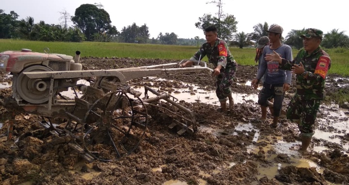 Tanpa Bosan, Babinsa Koramil 09/Sosa Terus Dukung dan Berikan Semangat Kepada Petani