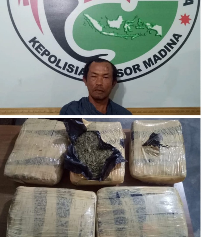 Nekat Bawa Ganja 5 Kilo , Tersangka Berhasil Dibekuk Sat Narkoba Polres Mandailing Natal