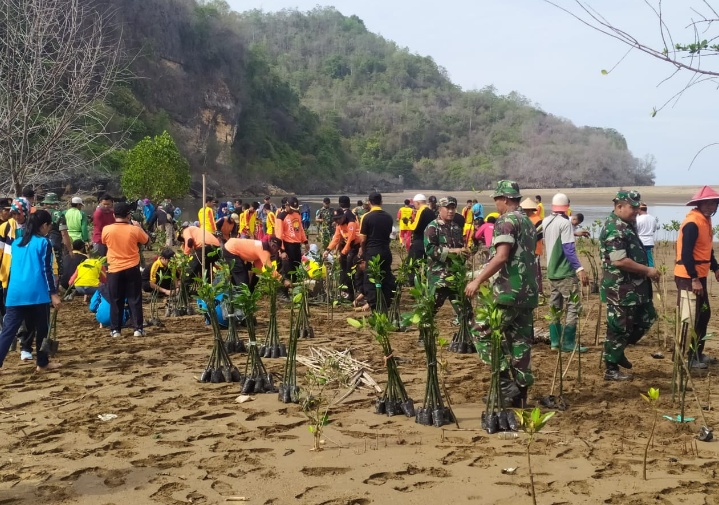 Peduli Lingkungan, TNI Bersama Warga Tanam Ribuan Pohon Mangrove di Pancer Pacitan