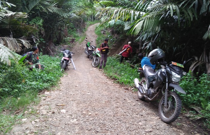 Cegah Kebakaran Hutan, Babinsa Koramil 19/Siais Lakukan Patroli Bersama Petugas Dinas Kehutanan Tapsel