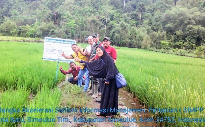 Bidang Penyuluhan Distanbun Aceh lakukan Kunker Kelokasi Jajar Legowo Desa Kota Batu