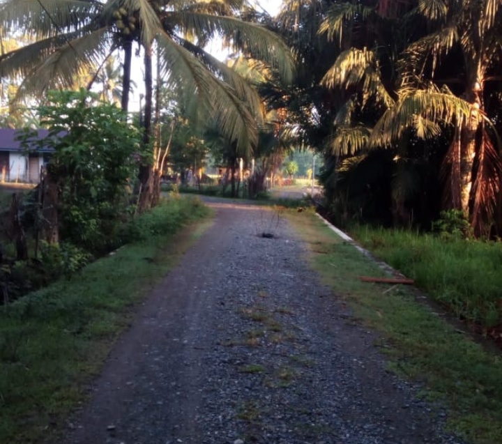 Jalan Penghubung di dua Desa Berlubang dan Belum Diaspal, Warga Berharap Ada Perbaikan dari Pihak Terkait