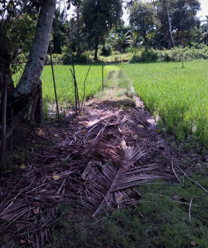 Jalan Penghubung Drin Payong Dengan Blang Seumasang Dipersempit