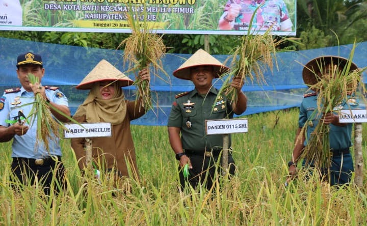 Wabup Hadiri Panen Padi Perdana di Desa Kuta Batu