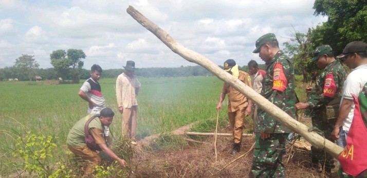 Hindari Gagal Panen, Babinsa Koramil 10/Barteng Bersama PPL dan Petani Gropyokan Hama Tikus di Sawah