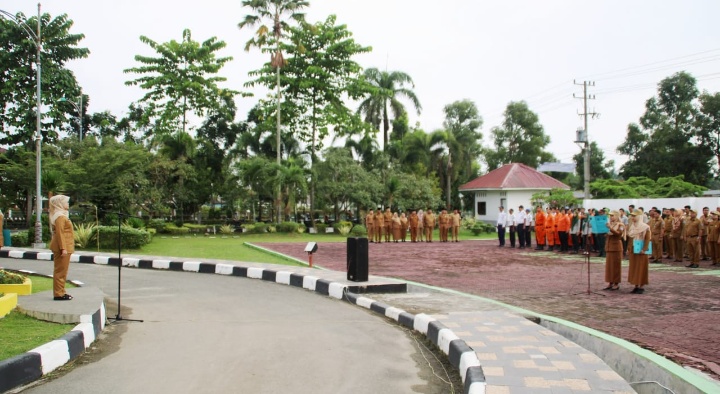 Pemkab Labuhanbatu Tekan Laju Pertumbuhan Penduduk Melalui KKBPK